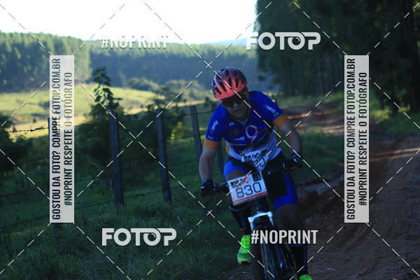 Buy your photos of the eventWolf Series - Botucatu on Fotop