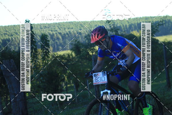 Buy your photos of the eventWolf Series - Botucatu on Fotop