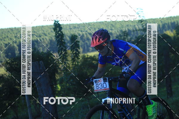 Buy your photos of the eventWolf Series - Botucatu on Fotop