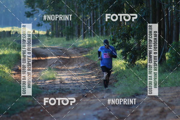 Buy your photos of the eventWolf Series - Botucatu on Fotop