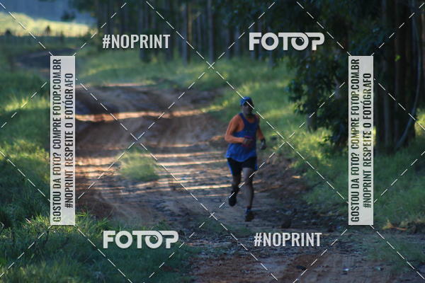 Buy your photos of the eventWolf Series - Botucatu on Fotop