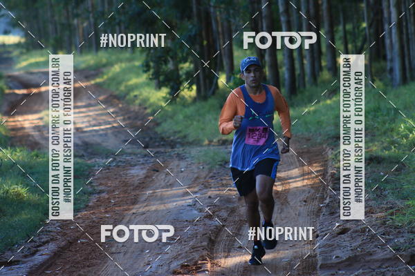 Buy your photos of the eventWolf Series - Botucatu on Fotop