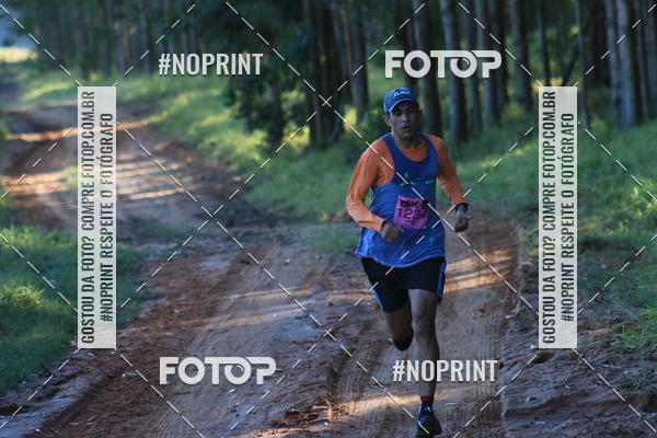 Buy your photos of the eventWolf Series - Botucatu on Fotop