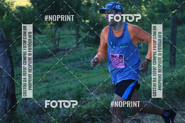 Buy your photos of the eventWolf Series - Botucatu on Fotop