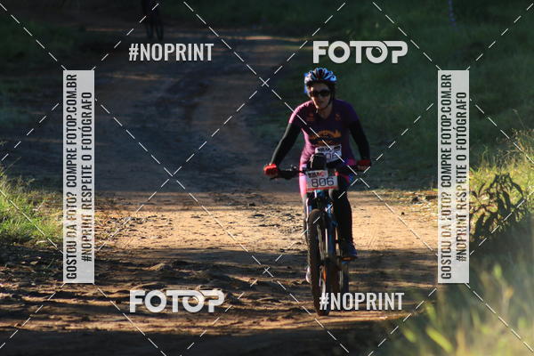 Buy your photos of the eventWolf Series - Botucatu on Fotop