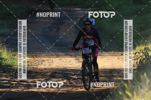 Buy your photos of the eventWolf Series - Botucatu on Fotop