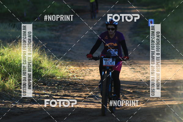 Buy your photos of the eventWolf Series - Botucatu on Fotop