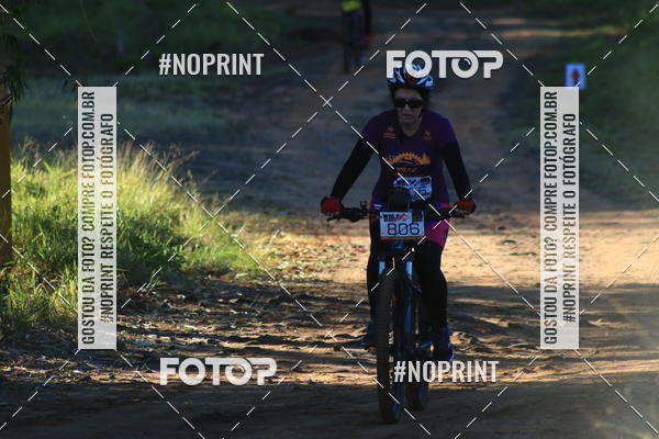 Buy your photos of the eventWolf Series - Botucatu on Fotop