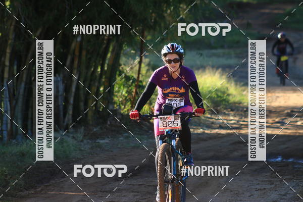 Buy your photos of the eventWolf Series - Botucatu on Fotop