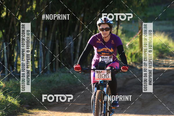 Buy your photos of the eventWolf Series - Botucatu on Fotop