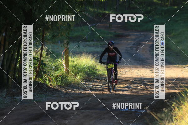 Buy your photos of the eventWolf Series - Botucatu on Fotop