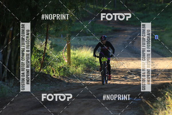 Buy your photos of the eventWolf Series - Botucatu on Fotop