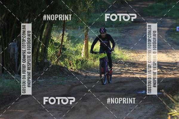 Buy your photos of the eventWolf Series - Botucatu on Fotop