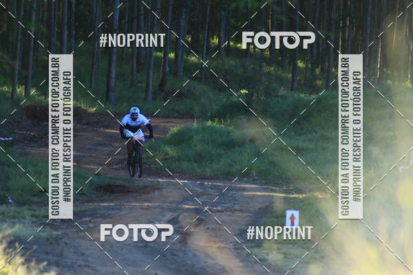 Buy your photos of the eventWolf Series - Botucatu on Fotop