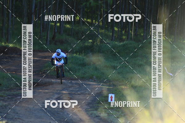 Buy your photos of the eventWolf Series - Botucatu on Fotop