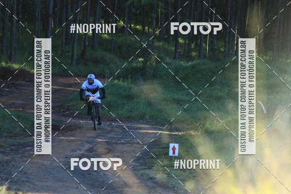 Buy your photos of the eventWolf Series - Botucatu on Fotop