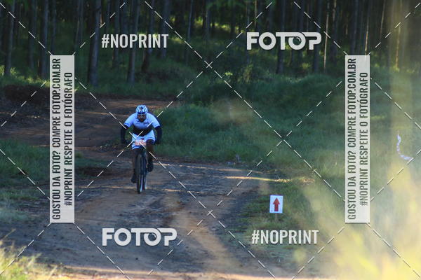 Buy your photos of the eventWolf Series - Botucatu on Fotop