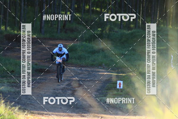 Buy your photos of the eventWolf Series - Botucatu on Fotop