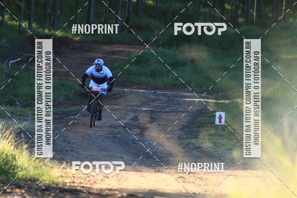 Buy your photos of the eventWolf Series - Botucatu on Fotop