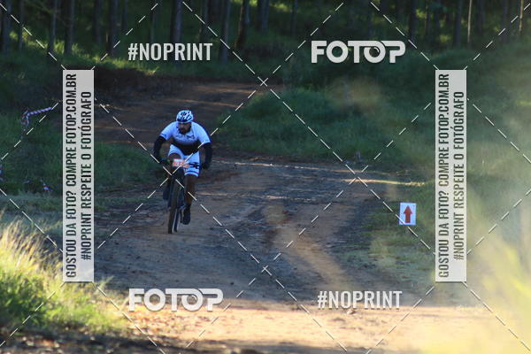 Buy your photos of the eventWolf Series - Botucatu on Fotop