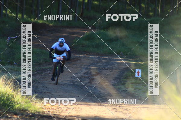 Buy your photos of the eventWolf Series - Botucatu on Fotop