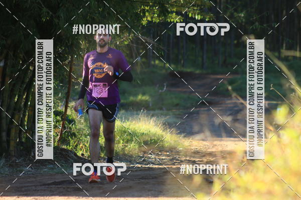 Buy your photos of the eventWolf Series - Botucatu on Fotop