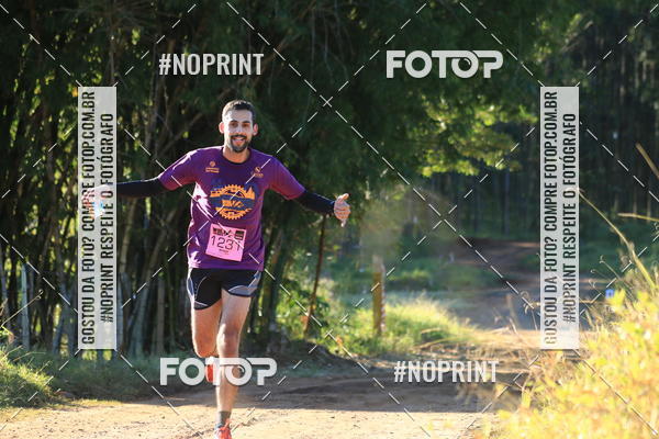 Buy your photos of the eventWolf Series - Botucatu on Fotop