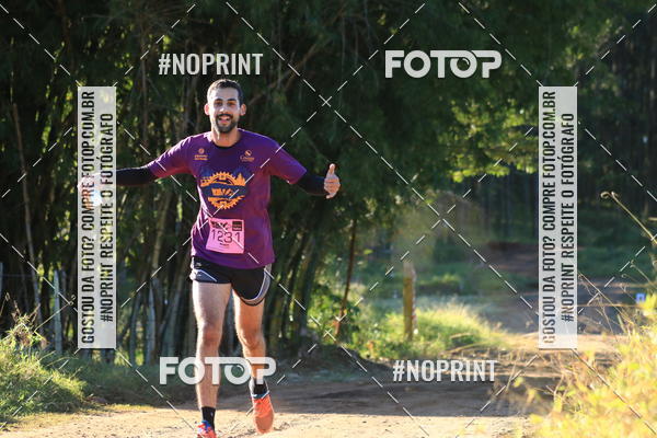 Buy your photos of the eventWolf Series - Botucatu on Fotop