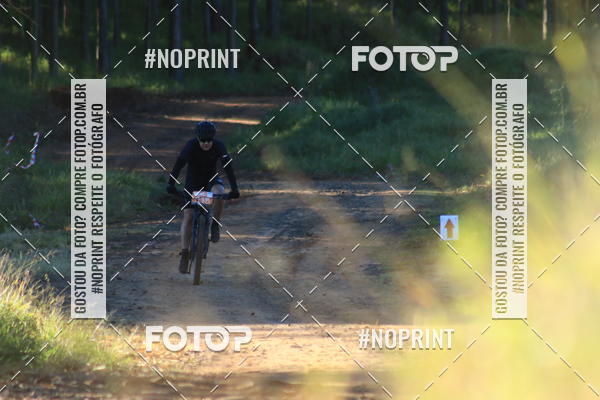 Buy your photos of the eventWolf Series - Botucatu on Fotop