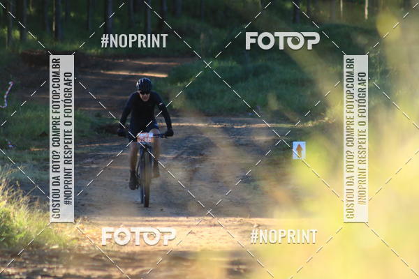 Buy your photos of the eventWolf Series - Botucatu on Fotop