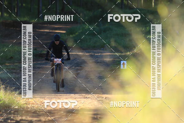 Buy your photos of the eventWolf Series - Botucatu on Fotop