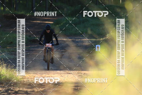 Buy your photos of the eventWolf Series - Botucatu on Fotop