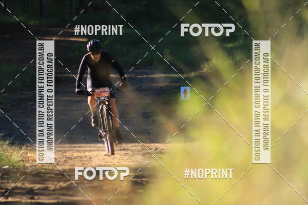 Buy your photos of the eventWolf Series - Botucatu on Fotop