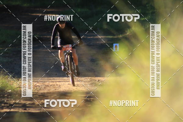 Buy your photos of the eventWolf Series - Botucatu on Fotop