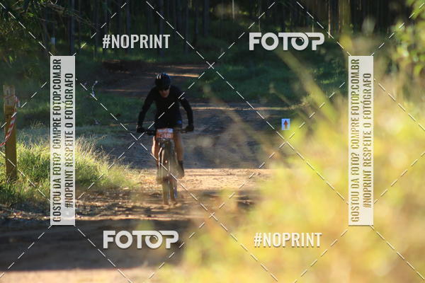 Buy your photos of the eventWolf Series - Botucatu on Fotop