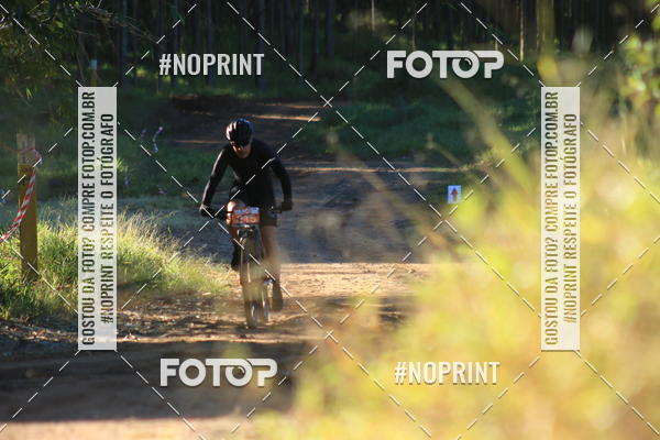 Buy your photos of the eventWolf Series - Botucatu on Fotop