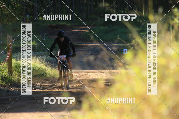 Buy your photos of the eventWolf Series - Botucatu on Fotop