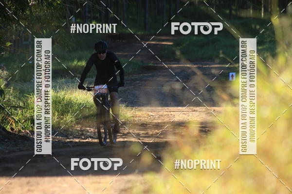 Buy your photos of the eventWolf Series - Botucatu on Fotop