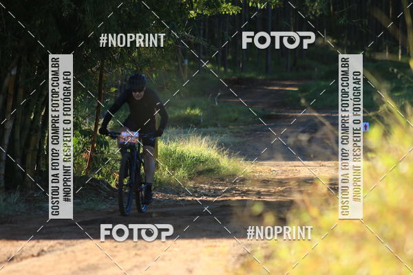 Buy your photos of the eventWolf Series - Botucatu on Fotop