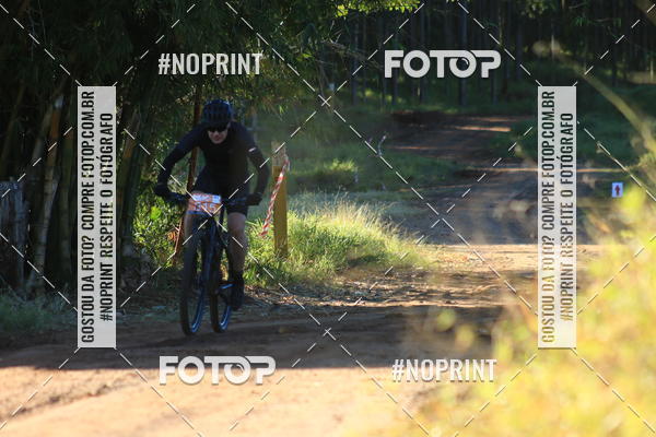 Buy your photos of the eventWolf Series - Botucatu on Fotop