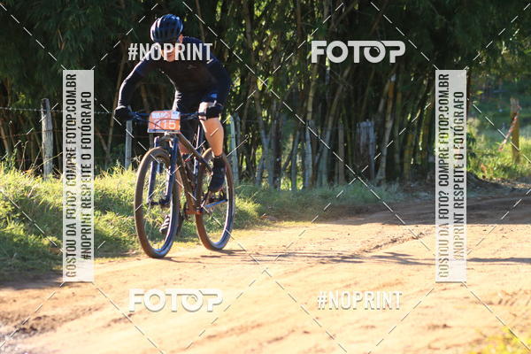 Buy your photos of the eventWolf Series - Botucatu on Fotop