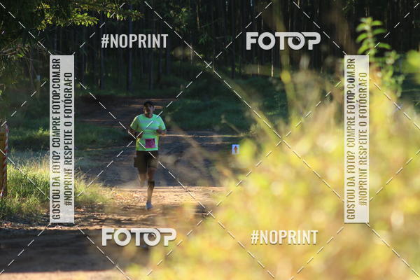 Buy your photos of the eventWolf Series - Botucatu on Fotop