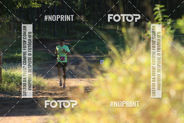 Buy your photos of the eventWolf Series - Botucatu on Fotop