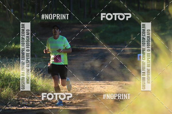 Buy your photos of the eventWolf Series - Botucatu on Fotop