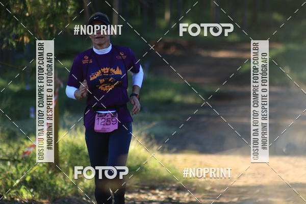 Buy your photos of the eventWolf Series - Botucatu on Fotop