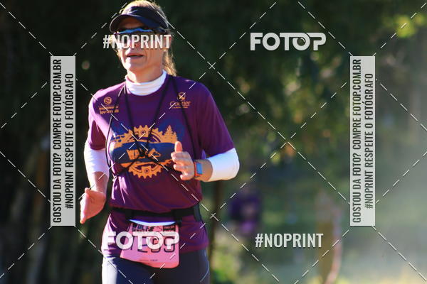 Buy your photos of the eventWolf Series - Botucatu on Fotop