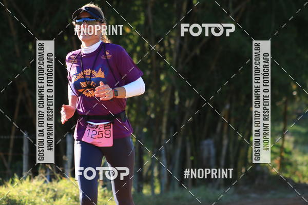 Buy your photos of the eventWolf Series - Botucatu on Fotop