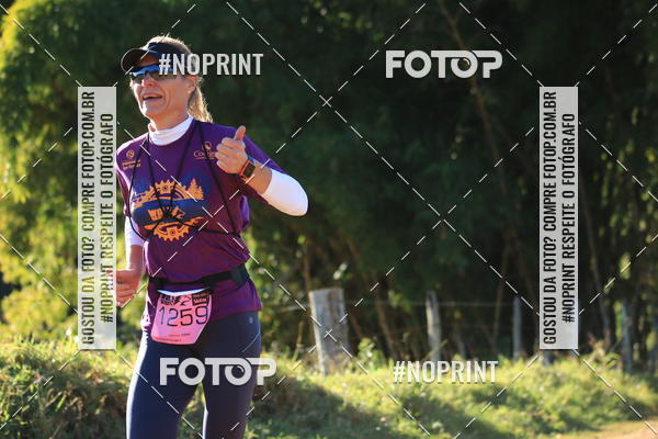 Buy your photos of the eventWolf Series - Botucatu on Fotop