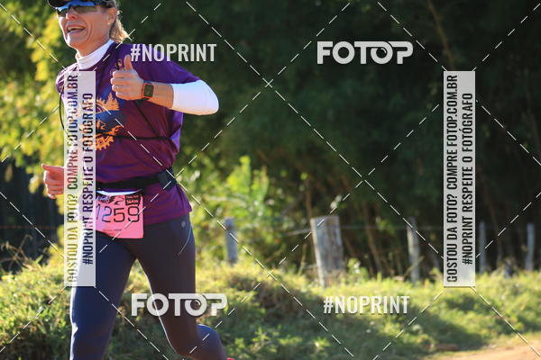 Buy your photos of the eventWolf Series - Botucatu on Fotop