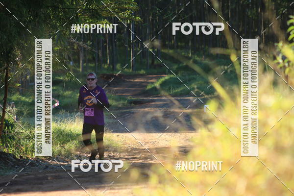 Buy your photos of the eventWolf Series - Botucatu on Fotop